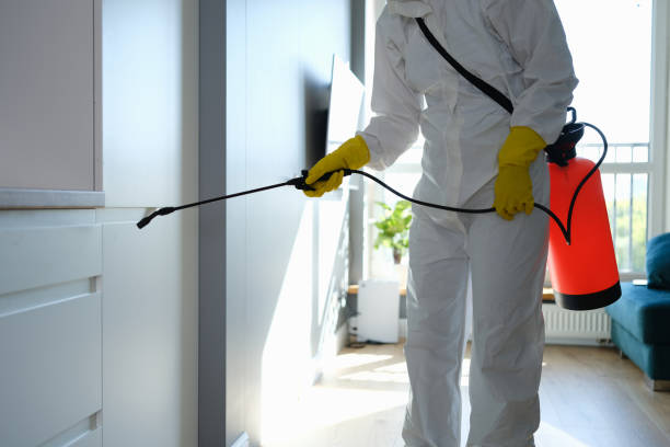 Best Mold Removal for HVAC Installations  in Hallstead, PA