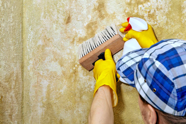 Best Indoor Air Quality Assessment  in Hallstead, PA