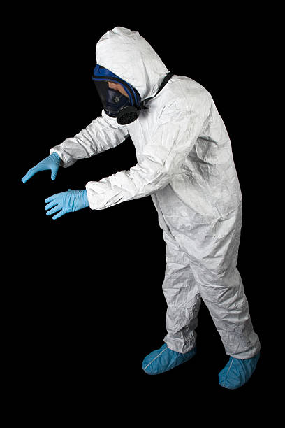Best Water Damage & Mold Remediation  in Hallstead, PA