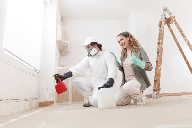 Best Asbestos and Lead Testing During Mold Inspection  in Hallstead, PA